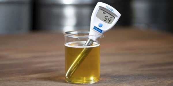 pH Meter In Beer