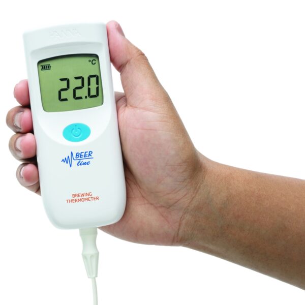 取り外し不可能な電極を備えた温度計